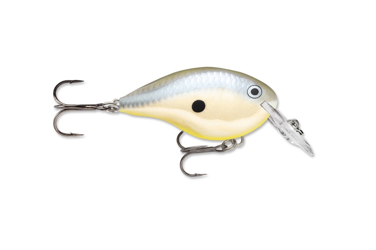 Rapala DT Dives To 04_DSSD
