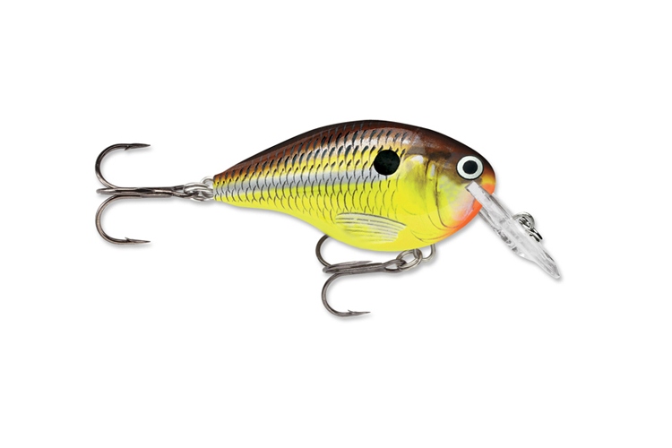 Rapala DT Dives To 04_HM