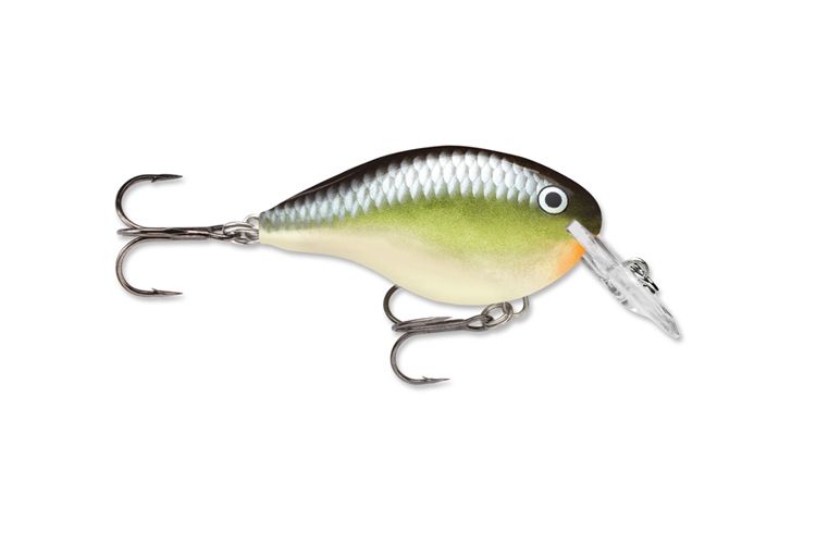 Rapala DT Dives To 04_SMSH