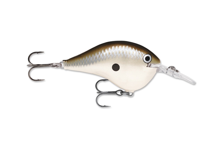 Rapala DT 06 PGS