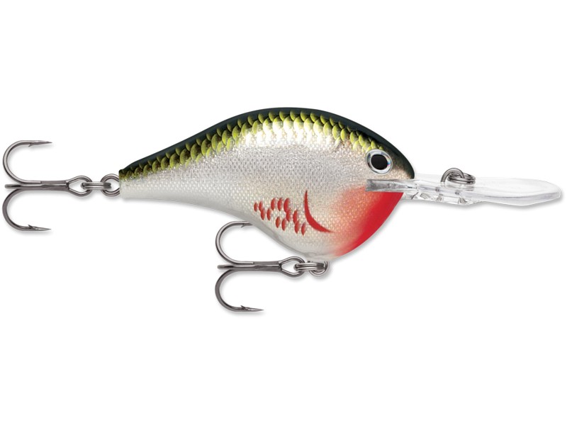 Rapala DT Dives To 10_BOS