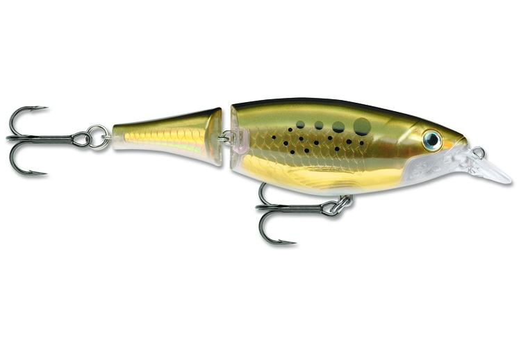 Rapala X-Rap Jointed Shad 13 - BNK - Bunker
