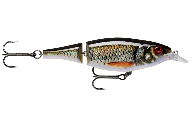 Rapala X-Rap Jointed Shad 13 - ROL - Live Roach