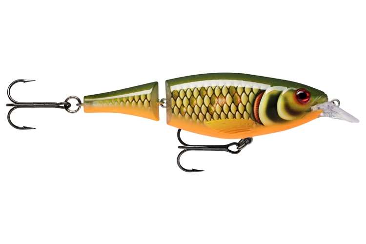 Rapala X-Rap Jointed Shad 13 - SCRR - Scaled Roach