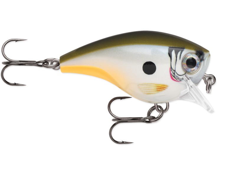 Rapala BX Brat 06_CUP