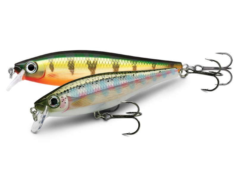 Rapala BX Minnow 10