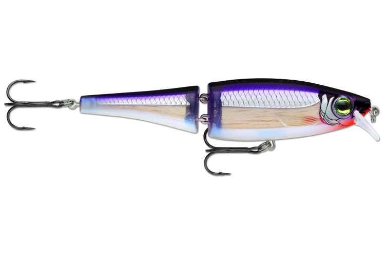 Rapala BX Swimmer 12cm PDS