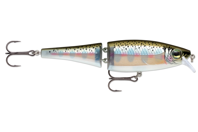 Rapala BX Swimmer 12cm RT