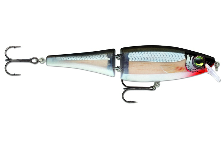 Rapala BX Swimmer 12cm S
