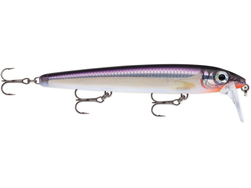 Rapala BX Waking Minnow 13cm_PDS