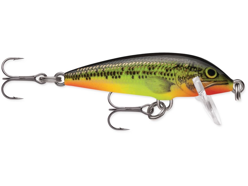Rapala CountDown 05_FMN