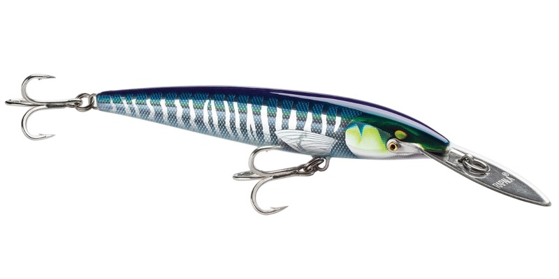 Rapala CountDown Magnum Elite představuje novou etapu vývoje legendárního modelu Magnum. Spojuje osvědčený akční pohyb původního wobleru z roku 1969 s moderní konstrukcí z pevného abachi dřeva, která zaručuje výjimečnou odolnost i při extrémním zatížení. Díky nerezové kovové lopatce wobler dosahuje přesně řízené hloubky a udržuje dokonale stabilní chod i při rychlostech až 18 km/h. Při vláčení se potápí přibližně do 4,5–5,5 m, při trollingu až do 6,5 m. Každý kus je ručně laděn a testován, aby pracoval spolehlivě i při nárazech nebo útocích silných dravců. Realistické 3D detaily, povrchová úprava Armoured Finish a špičkové háčky VMC® série 75 dělají z CountDown Magnum Elite nekompromisní wobler pro lov na moři i ve sladké vodě. 💪 Výhody a vlastnosti 🪵 Tělo z abachi dřeva – maximální pevnost a trvanlivost ⚙️ Kovová nerezová lopatka – přesná kontrola hloubky vedení 🌊 Stabilní chod i v silném proudu – bez nežádoucího vybočení 🐟 Reálné barvy a 3D detaily – přirozený vzhled kořisti 🎯 Ruční ladění a testování – dokonalá akce každého kusu 🪝 Háčky VMC® 75 – jistota pevného záseku i u velkých dravců 📊 Modely a parametry CDMAGE145 📏 Délka: 14,5 cm ⚖️ Hmotnost: 41 g 📉 Hloubkový rozsah: 4,5–5,5 m (při vláčení přibližně 4,5 m, při trollingu až 5,5 m) CDMAGE185 📏 Délka: 18,5 cm ⚖️ Hmotnost: 78 g 📉 Hloubkový rozsah: 5,5–6,5 m (při vláčení přibližně 5,5 m, při trollingu až 6,5 m) ⚠️ Upozornění Umělé nástrahy – ostré háčky: • 🪝 Uchovávejte mimo dosah dětí. • 🔍 Před použitím vždy zkontrolujte upevnění háčků. • 💧 Po lovu v mořské vodě opláchněte wobler sladkou vodou a osušte.