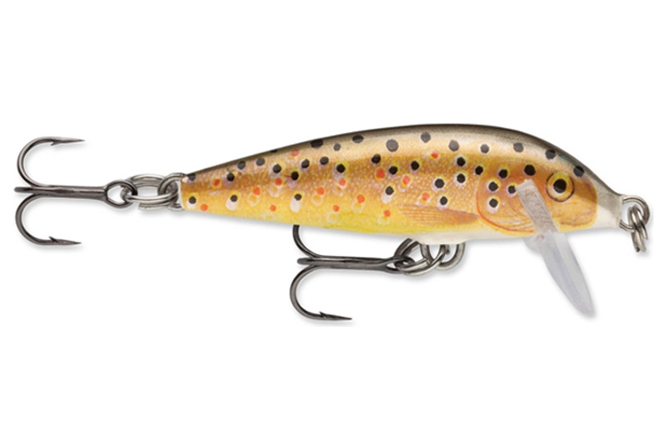 Rapala Count Down Sinking 5cm TR