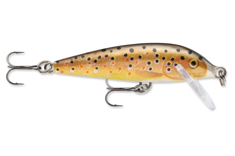 Rapala Count Down Sinking Trout