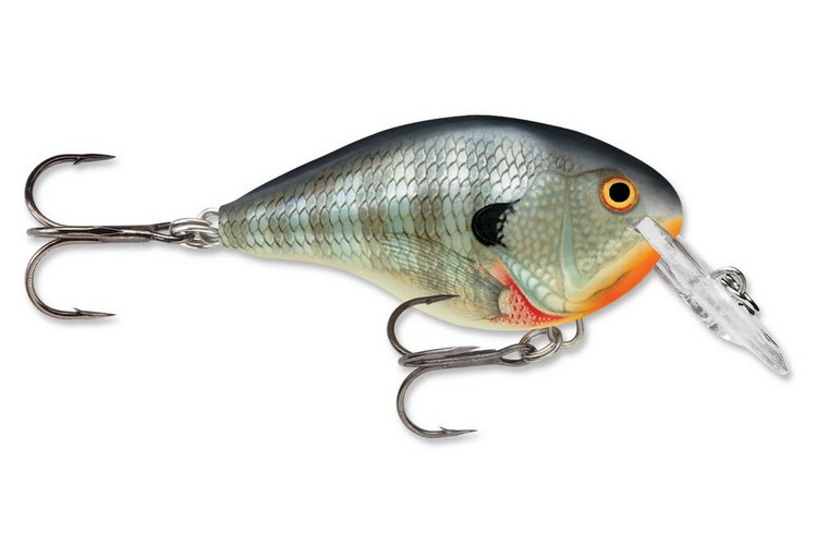 Rapala DT Dives To 04_BG