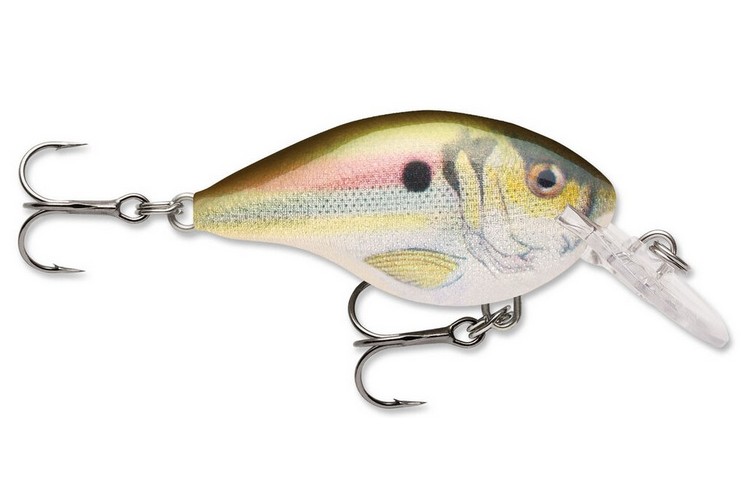 Rapala DT Dives To 04_RSL