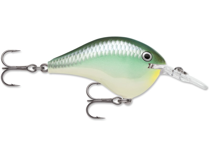 Rapala DT 06 BBH