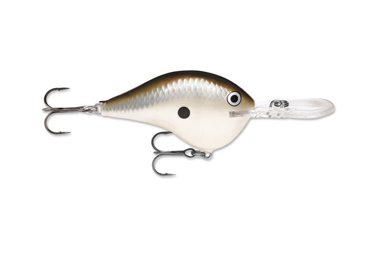 Rapala DT14 PGS