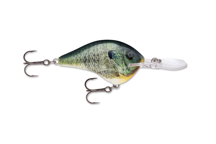 Rapala DT14 BGL