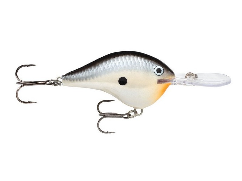Rapala DT Dives To 10_PNGN