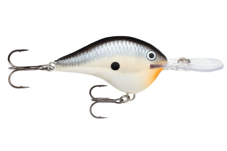 Rapala DT Dives To 14 PNGN