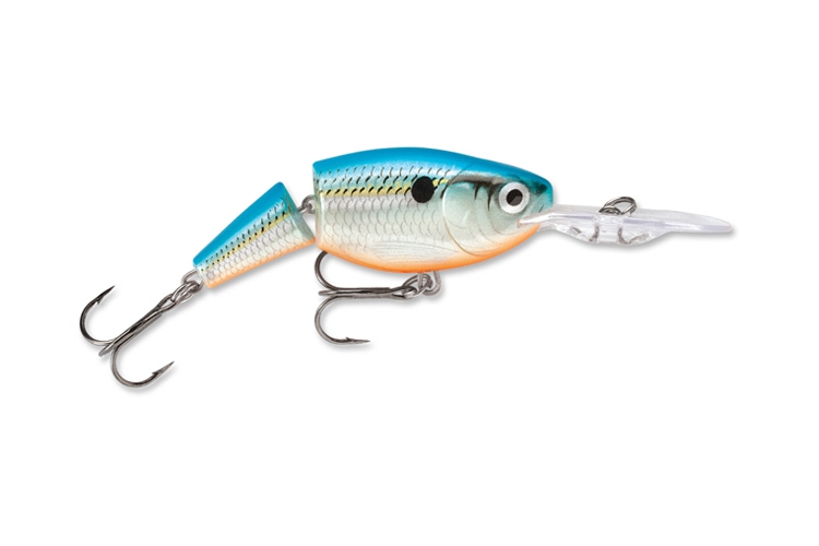 Jointed Shad Rap BSD