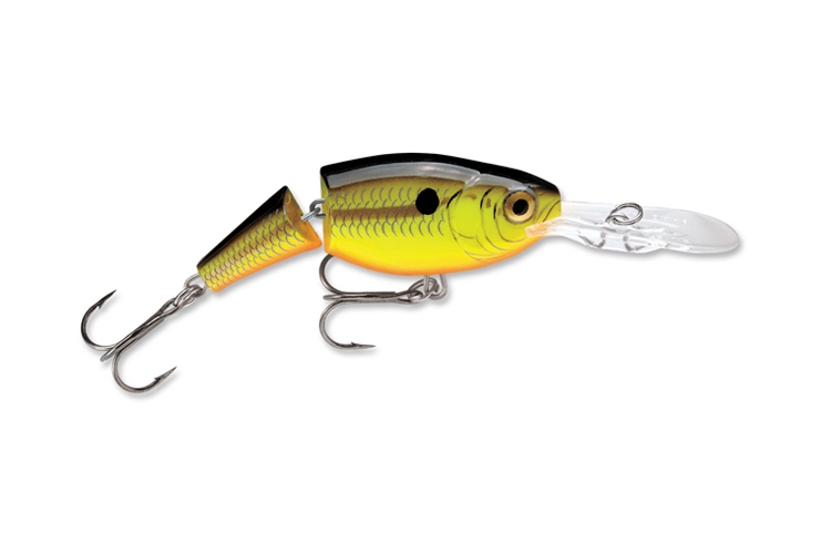Jointed Shad Rap CB