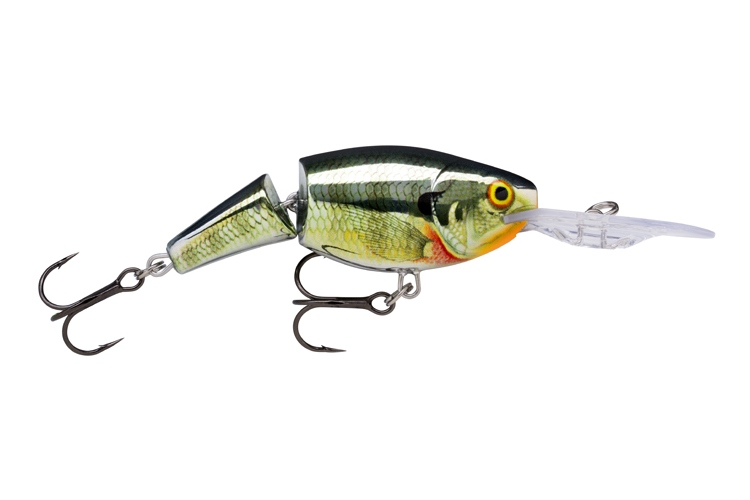 Jointed Shad Rap CBG