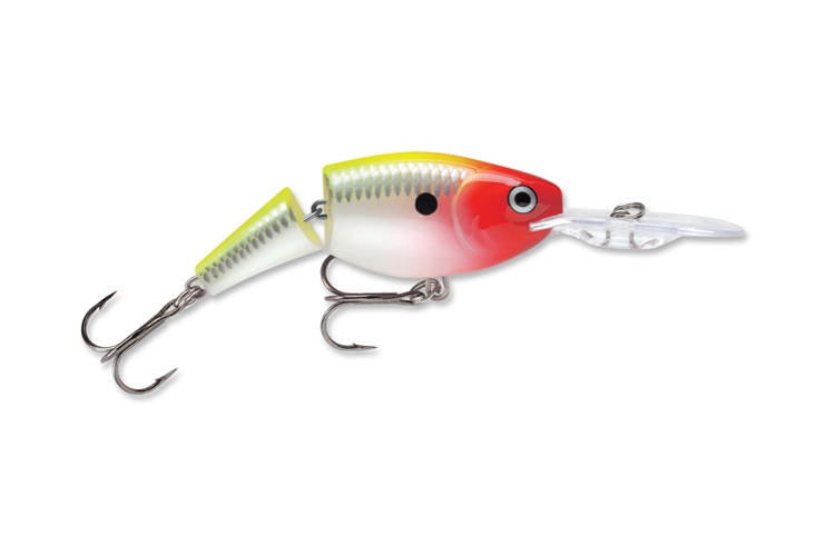 Jointed Shad Rap CLN