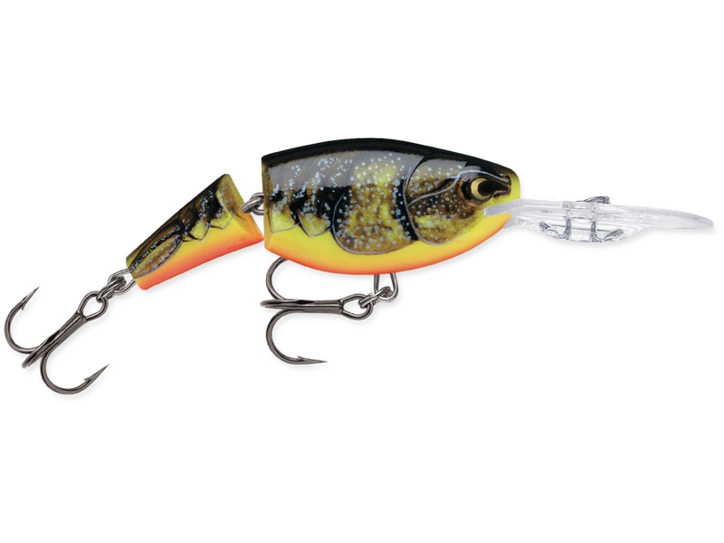 Rapala Jointed Shad Rap 05_FCW