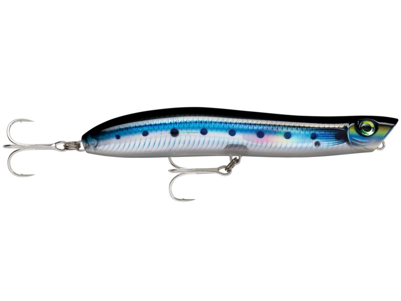 Rapala MaxRap Walk'n Roll HDBSRD – povrchová nástraha s trofejním potenciálem.