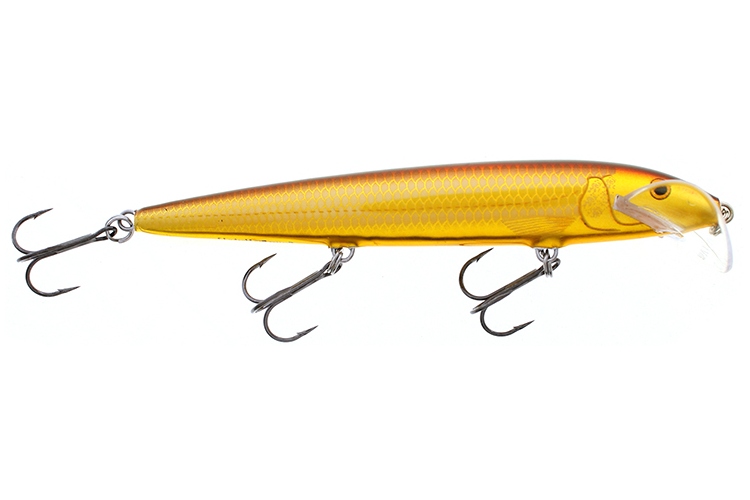 Rapala Scatter Rap Husky GALB
