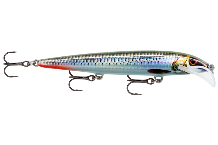 Rapala Scatter Rap Minnow ROHL