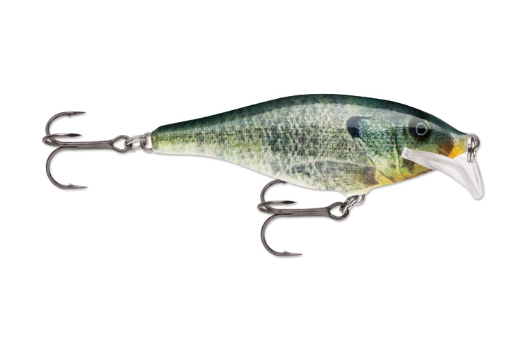 Rapala Scatter Rap Shad BGL