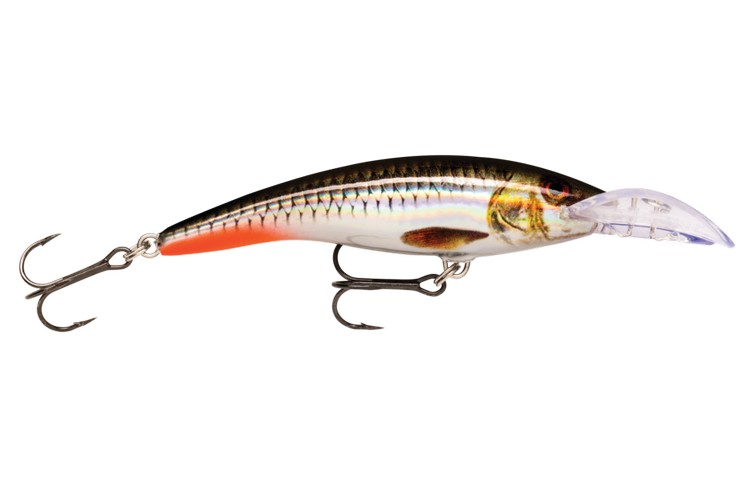 Scatter Rap Tail Dancer 09 ROHL