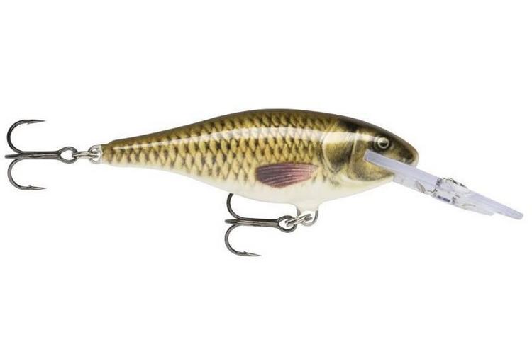 Rapala Shad Rap 09 CARP