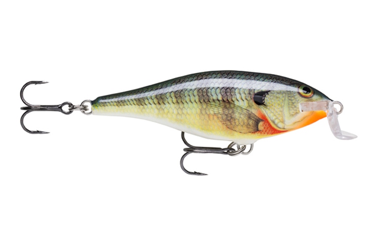 Rapala Shad Rap Shallow Runner - BG - Bluegill