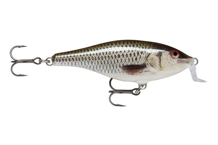 Rapala Shad Rap Shallow Runner ROL - Live Roach 