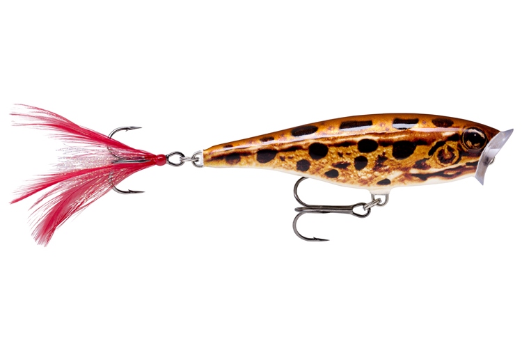 Rapala Skitter Pop Top Water Fresh 7cm_FL