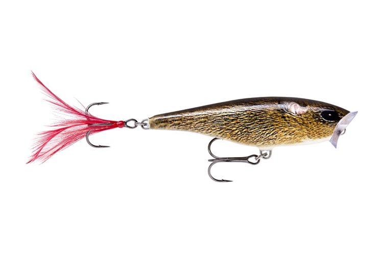 Rapala Skitter Pop 5cm FML