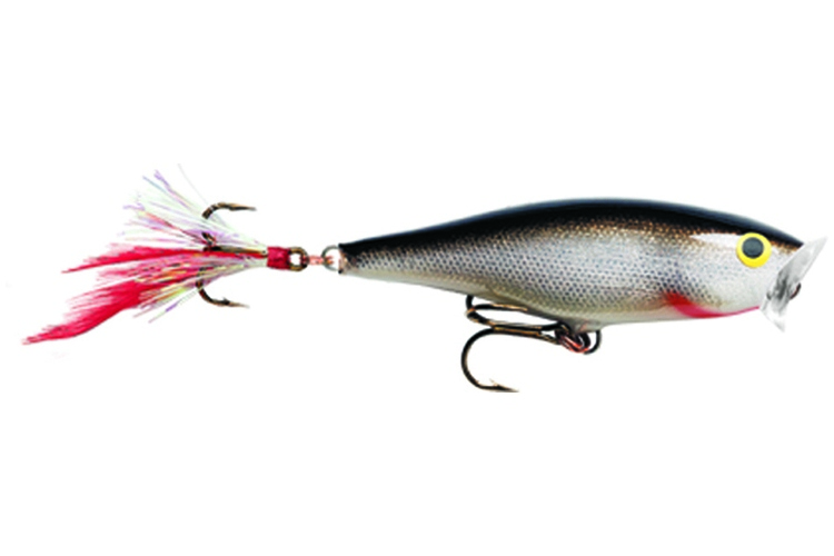 Rapala Skitter Pop 5cm S