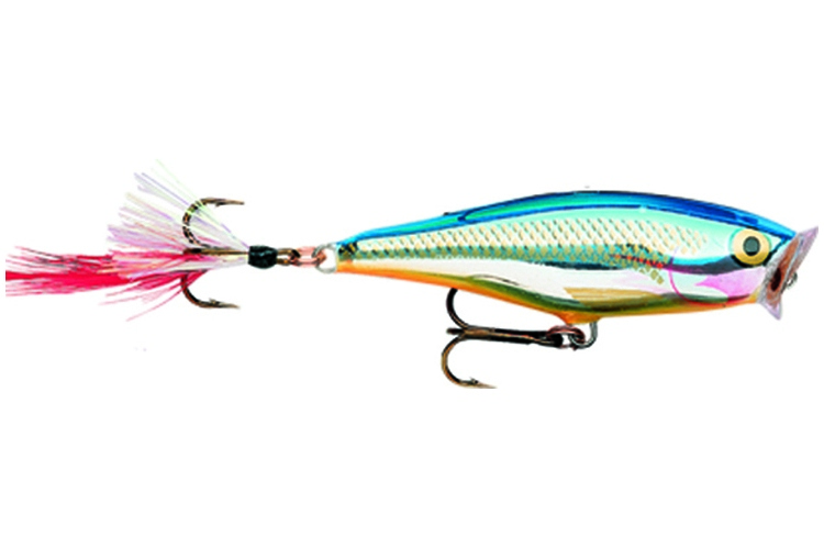 Rapala Skitter Pop 5cm SB