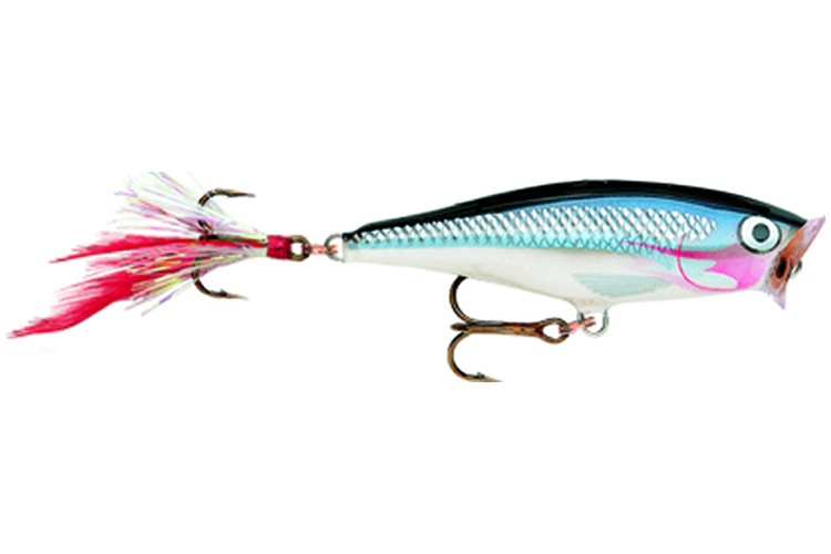 Rapala Skitter Pop 5cm SD