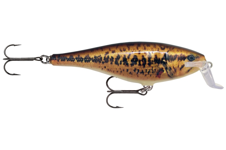 Rapala Super Shad Rap Floating 14 - SBL-Live Smallmouth Bass