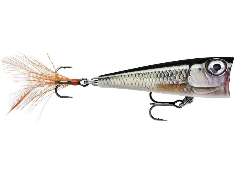 Rapala X-Light Pop 04_ROL