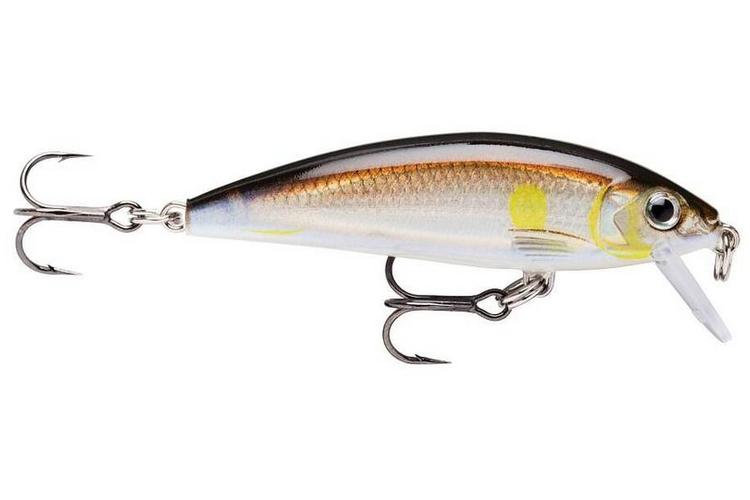 Rapala X-Rap CountDown 05_AYU