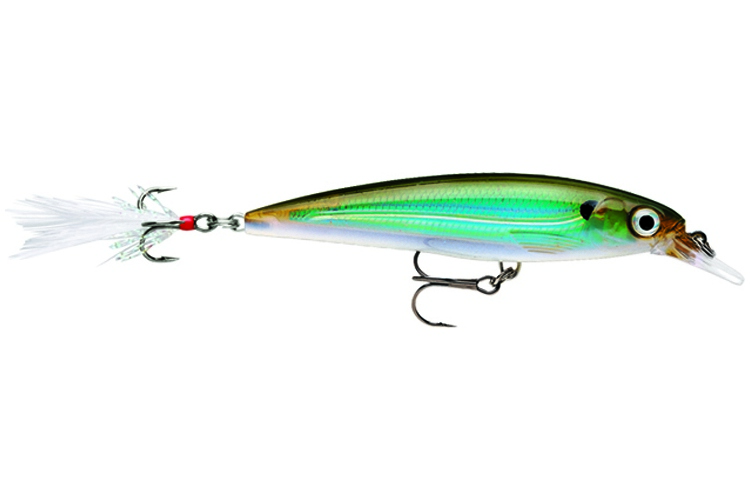 Rapala X-Rap 10 MBS - Moss Back Shiner