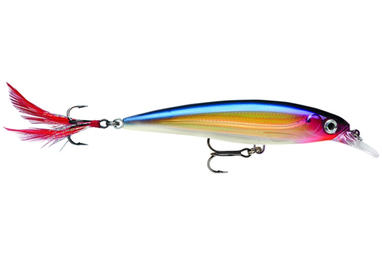 Rapala X-Rap 10 PG - Purple Gold