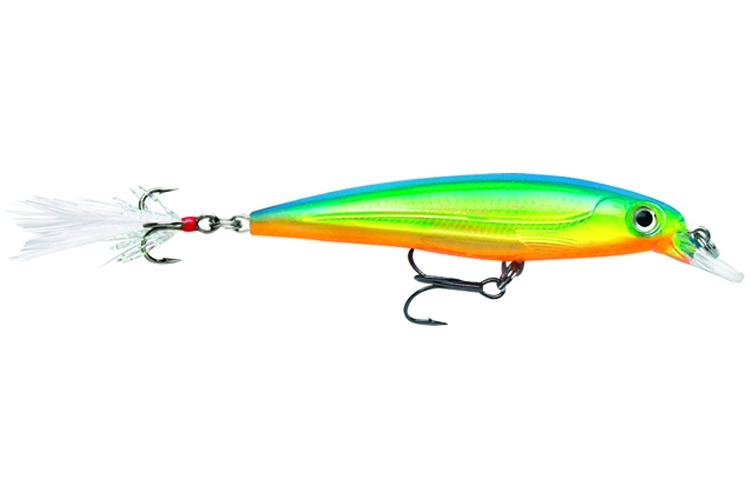 Rapala X-Rap 8 PRT - Parrot