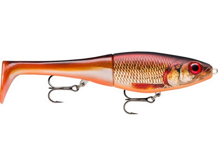 Rapala X-Rap Peto 20 RFSHL - Live Redfin Shiner